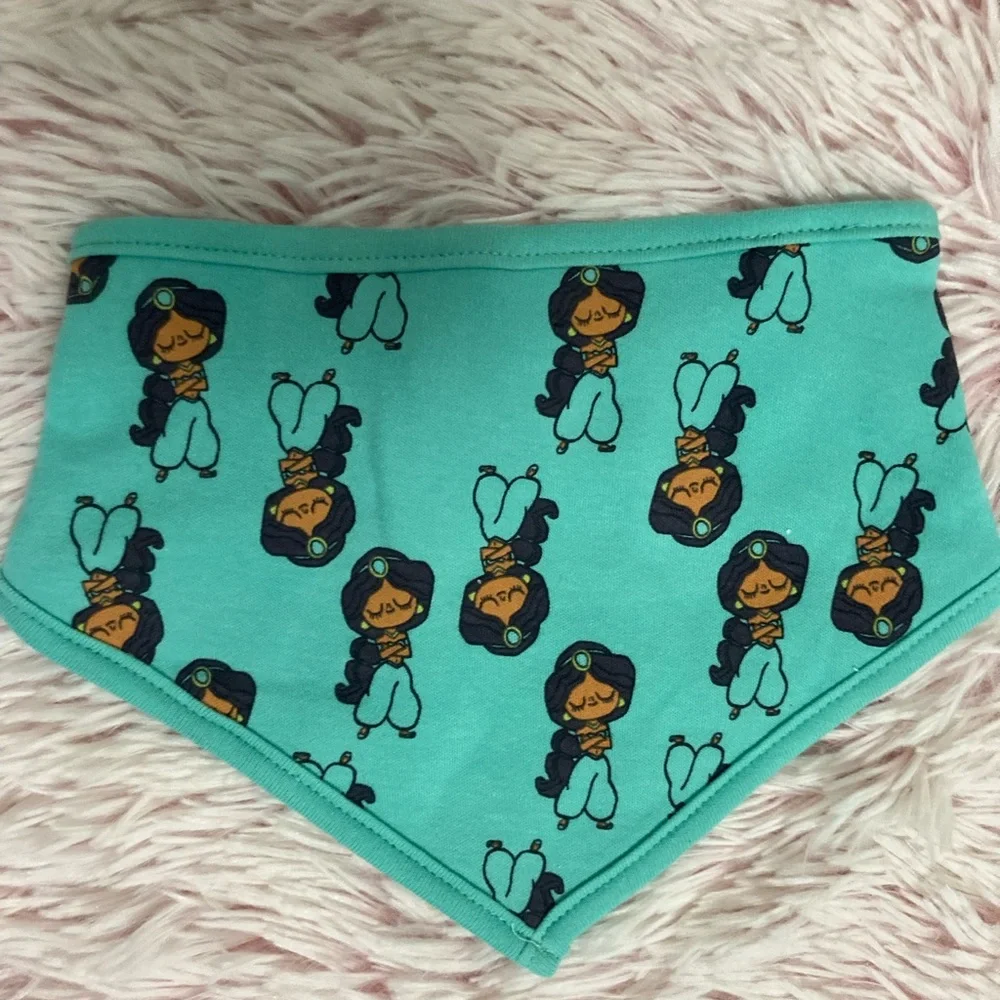 Disney Princess Bibs (6 pack)